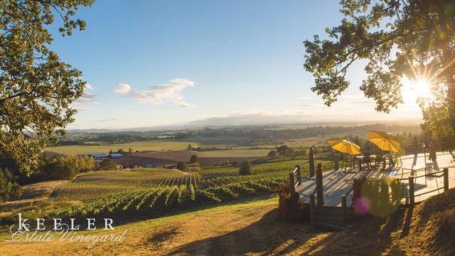 View of vineyards from patio at sunset