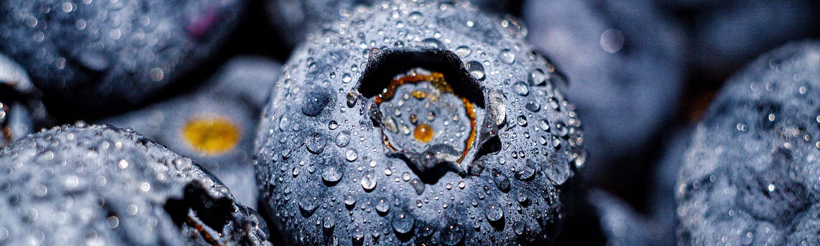 closeup of freshly washed blueberries with water droplets fill the photo