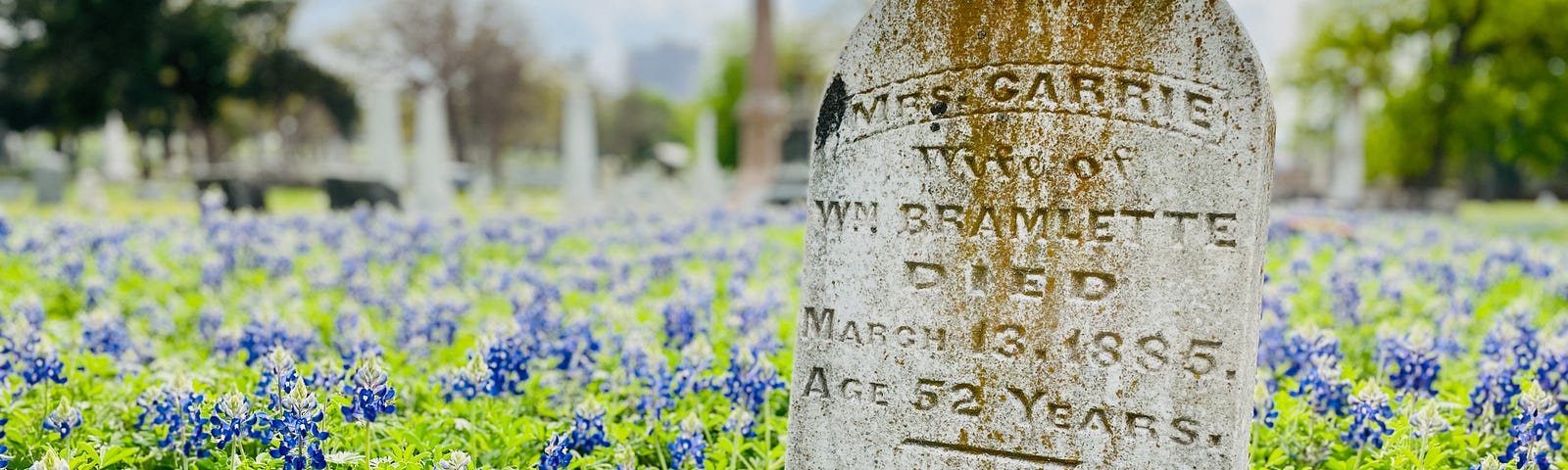 Tombstone in a field of blue bonnet wildflowers on a sunny day.