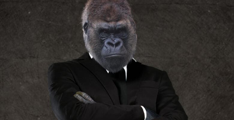 Gorilla wearing a business suit.