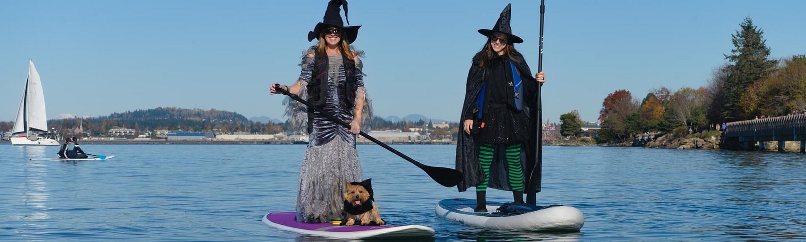 two ladies dressed like witches ride their paddle boards with a little dog in the front