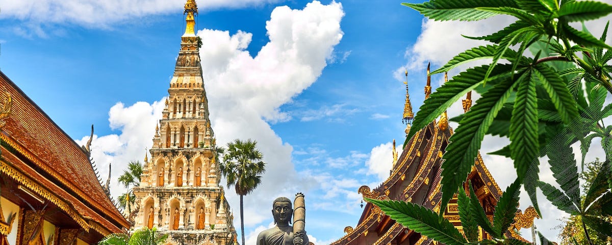 cannabis in thailand laws