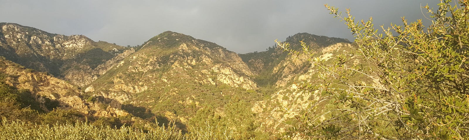 Tree covered San Gabriel Mountains with sun shining under dark skies.