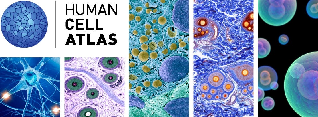 deep learning biology