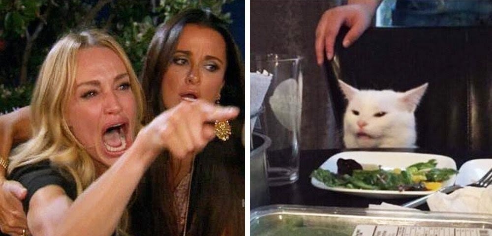 Those "Woman Yelling At Cat" Memes Are Comedy Gold.
