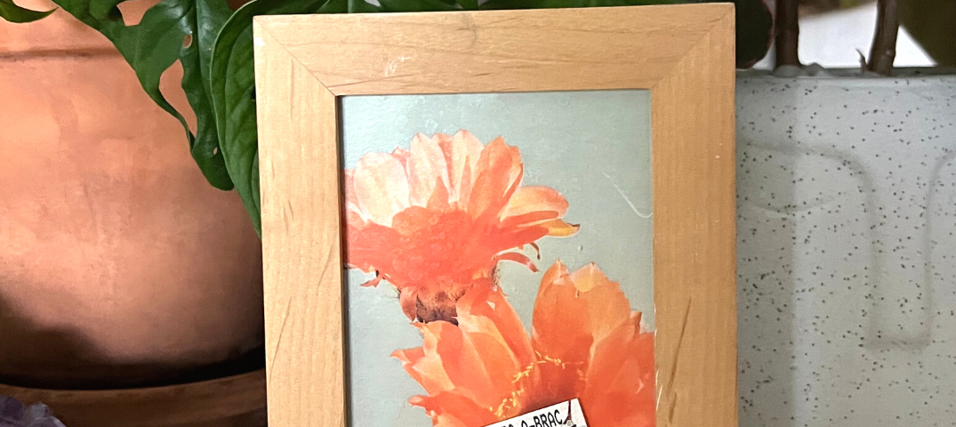 A wooden picture frame with cactus flowers pictured inside.