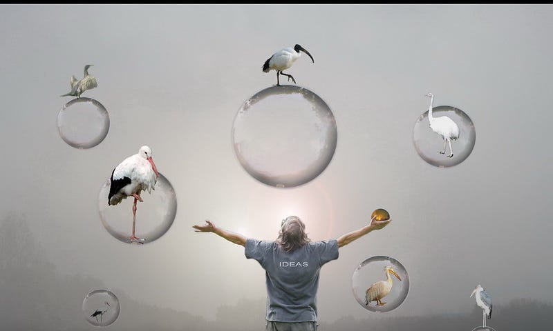 concept image of ideas as bubbles that hatch birds