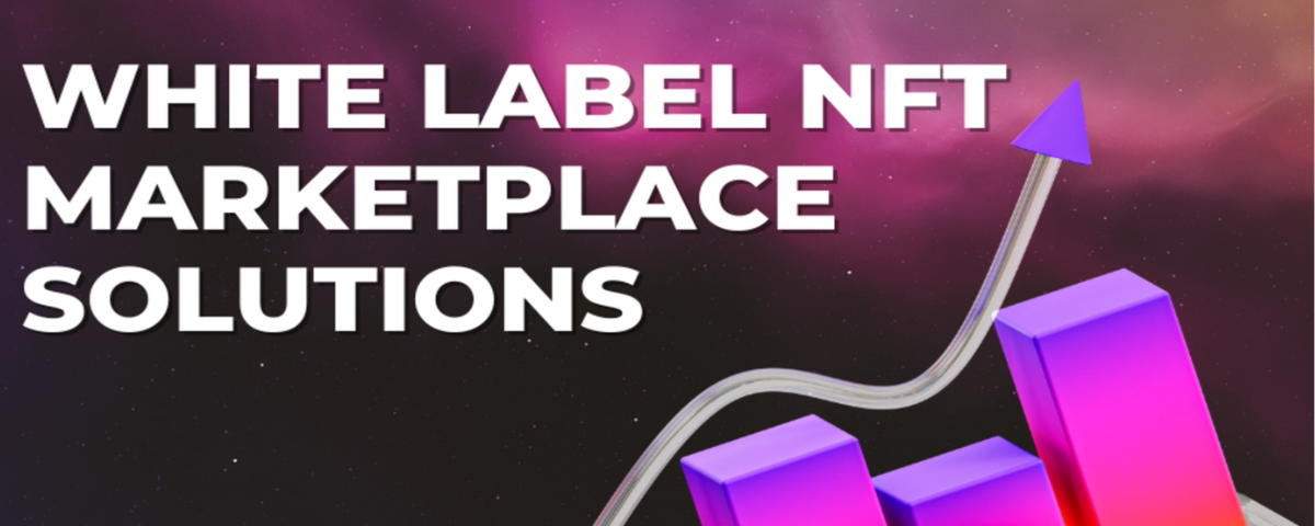 Power of White Label NFT Marketplace Solutions: Customization Excellence