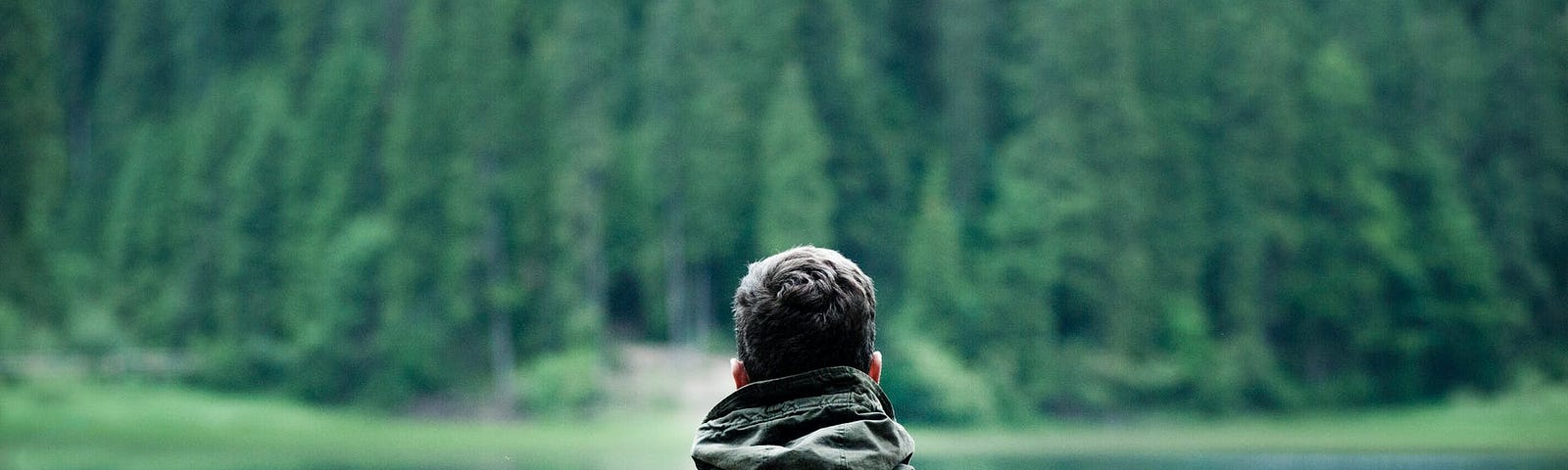 A young man looks towards a lake surrounded by woods.