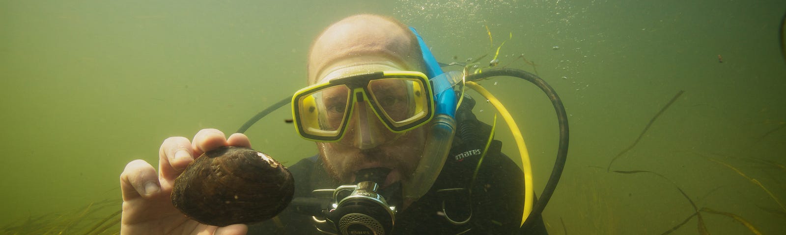 Matthew Patterson diving to salvage freshwater mucket (Actinonaias ligamentina) in the Allegheny River before bridge replacement.