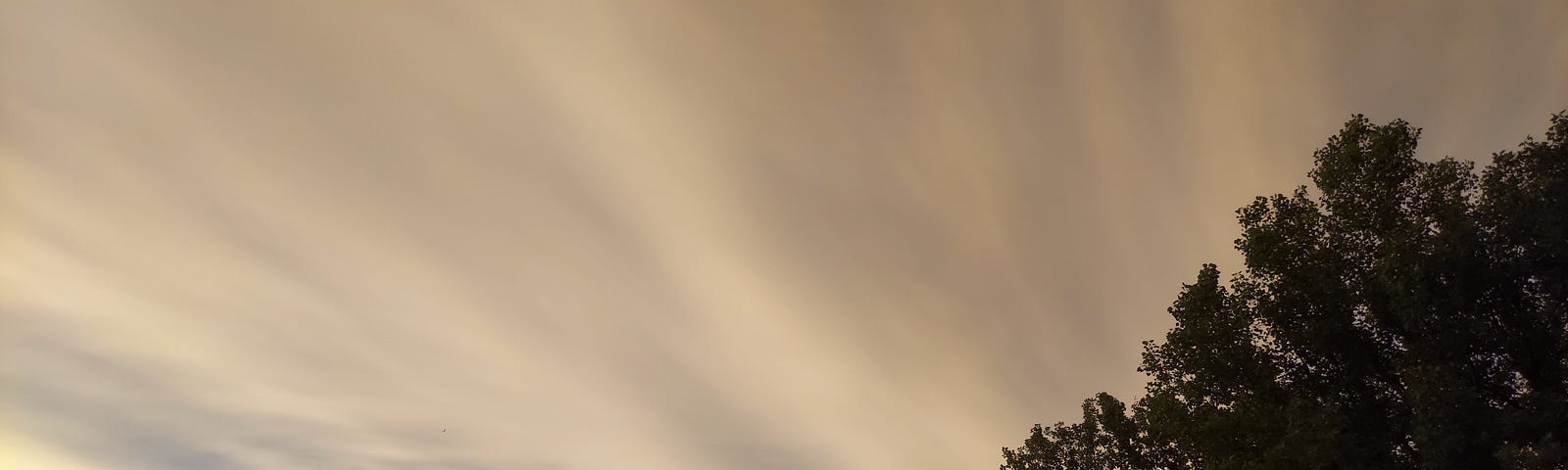 Cloudy sky behind trees. The clouds appear to be streaming from a point to the left of the image