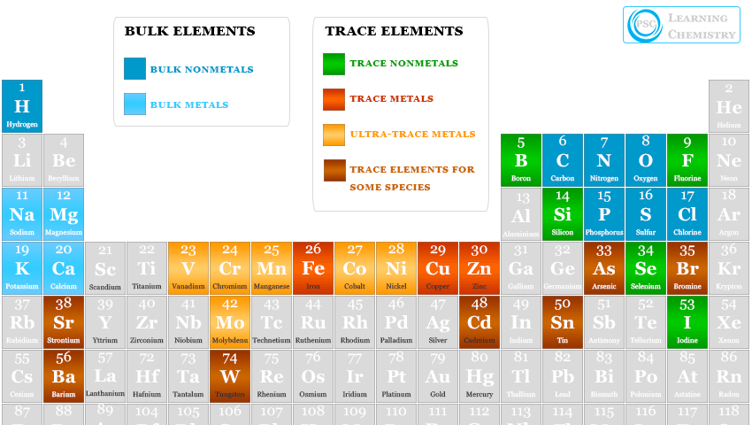 Essential Elements for Human Body
