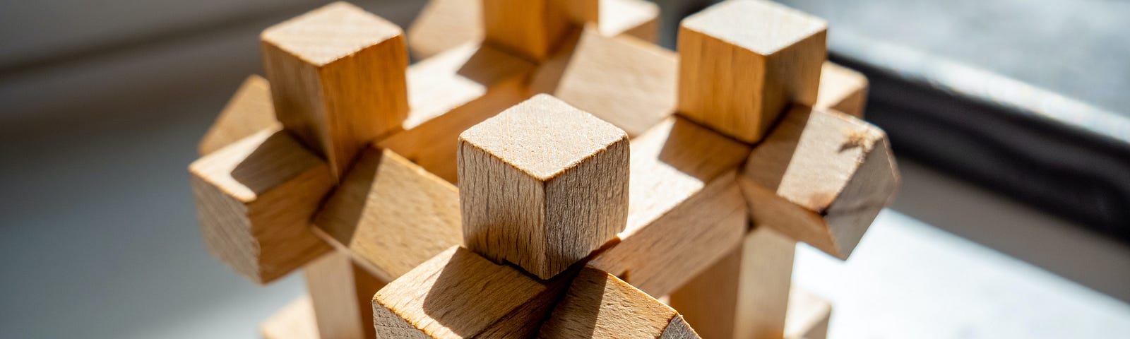 Wooden brain puzzle.