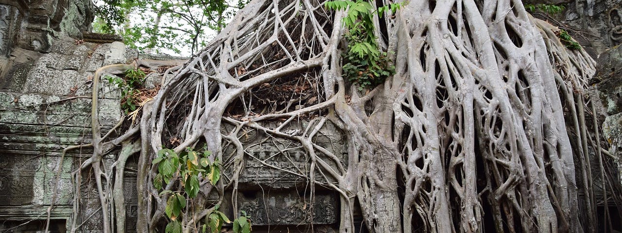 A jungle temple buried in giant dead vines. (How to format Medium stories)