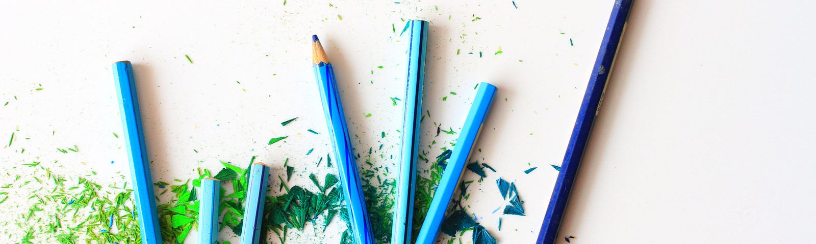 Blue colored pencils and pencil shavings.