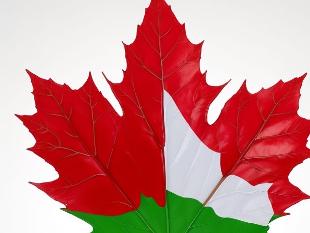 beautiful Canadian Maple leaf with red, white green.