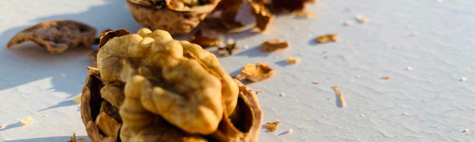walnut shell and seeds