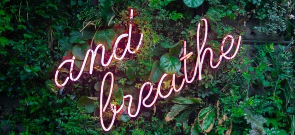 Image of the words “and breathe” on a wall of shrubbery