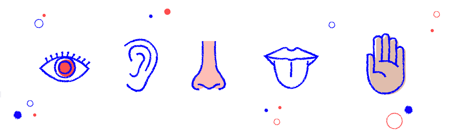 Representación gráfica de los cinco sentidos: Ojo, oído, nariz, boca y palma de la mano.