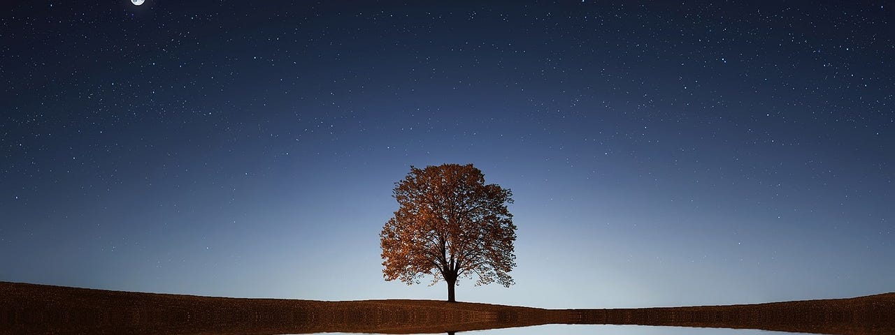 Tree reflected over water beneath a starry sky.