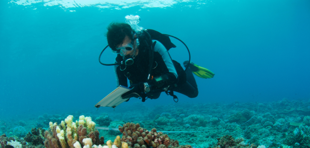Marine diver exploring under water.