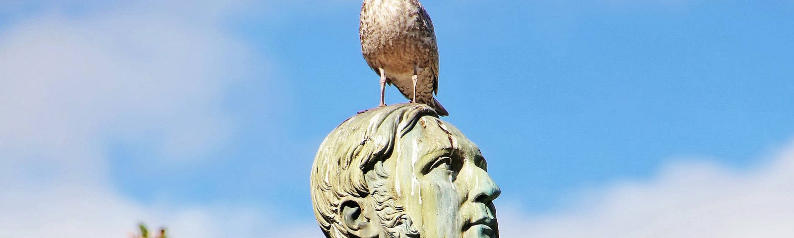 A seagull sits irreverently on top of a verdigris stained statue of a man, with a smattering of bird poo down its face