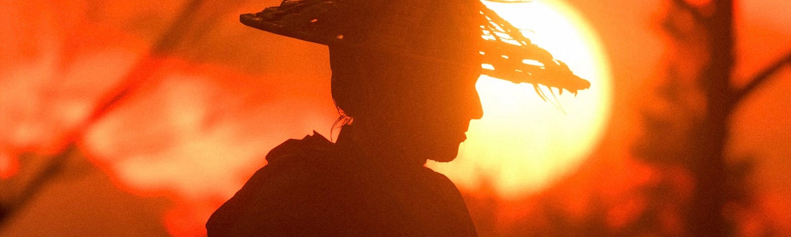 A silhouette of a samurai from side profile. He is wearing a conical straw hat. He stands in front of a setting sun. The whole picture is orange and brown.