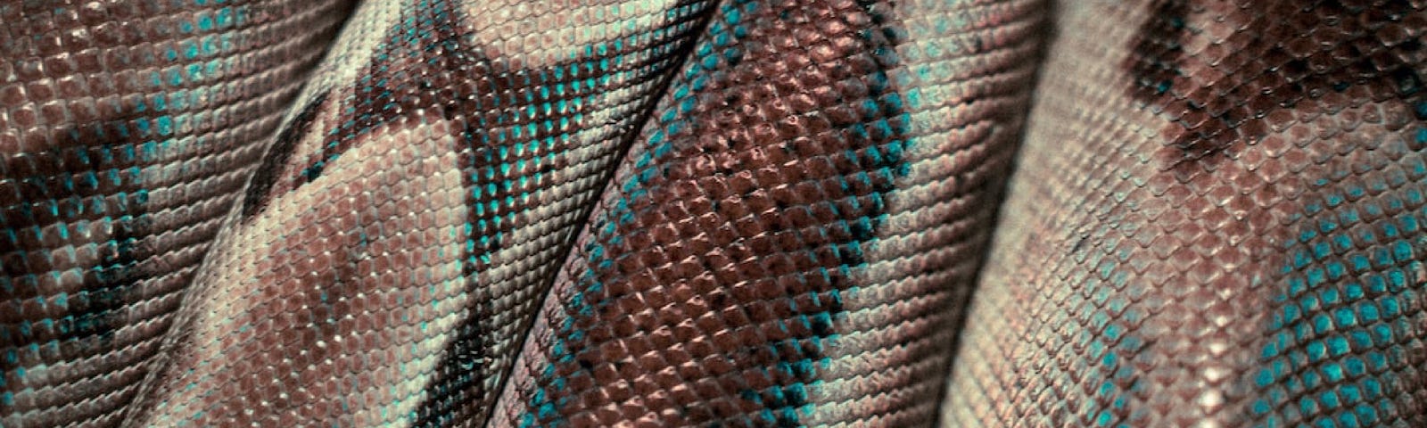 The intricate detail of a snake’s skin, with its unique patterns, colors and textures.