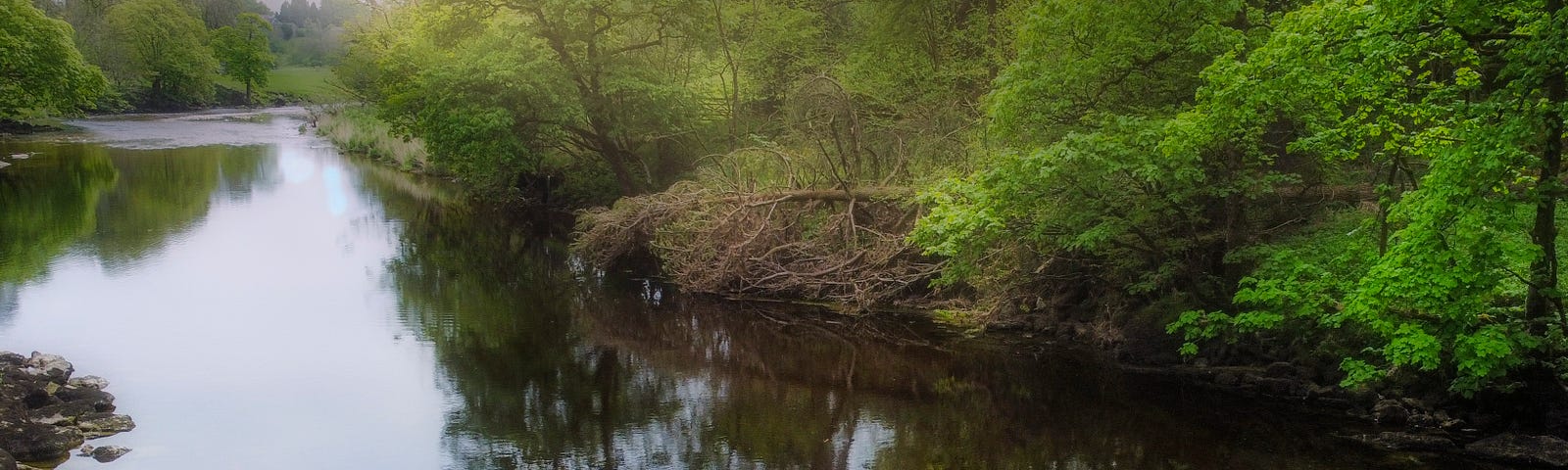 The author looks on to the River Wharfe in the Yorkshire Dales, England