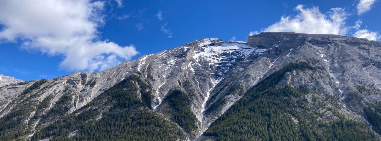 Tour Divide route, somewhere near the race start in the Canadian Rockies.