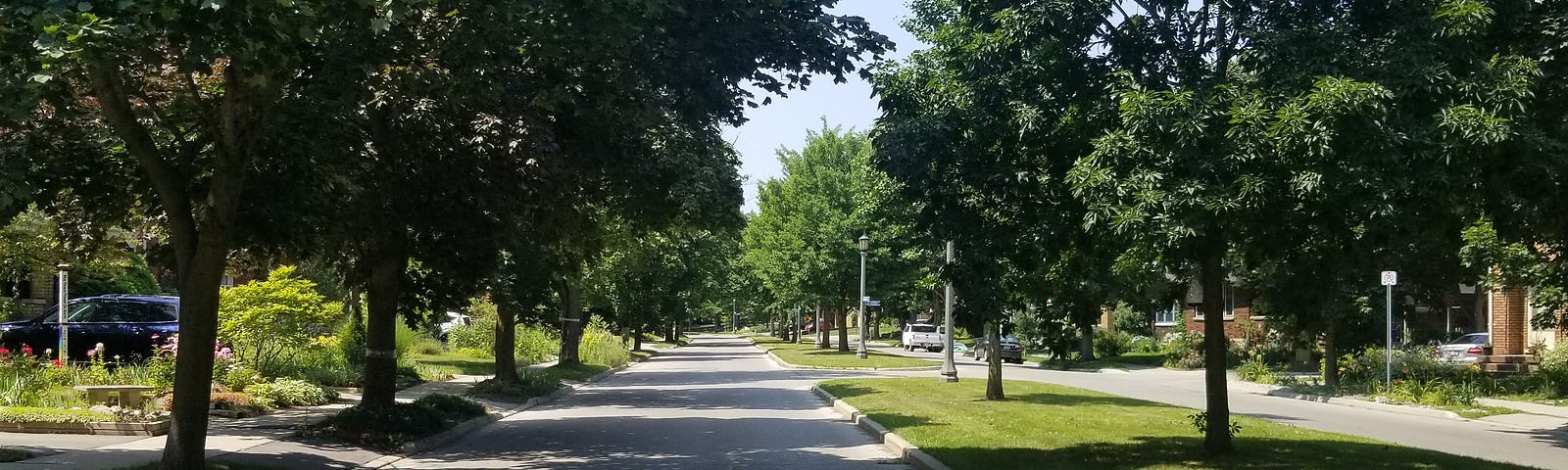 The tree lined street with island. racism, white supremacy, white rage, hate, injustice