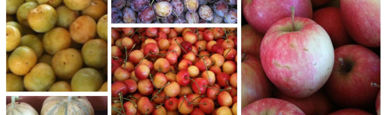 Collage of yellow pluots, purple plums, red and yellow apples, gray-green striped melons, peaches and apricots.