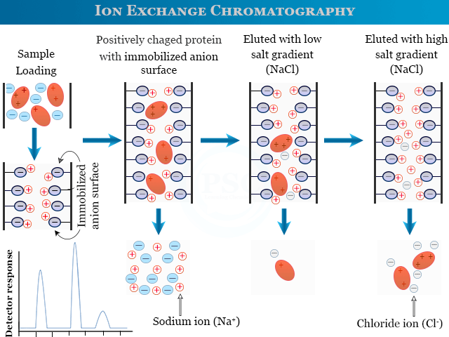 Applications of ion exchange chromatography