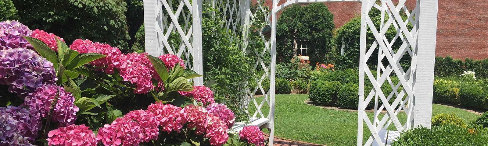 A garden path with trellis