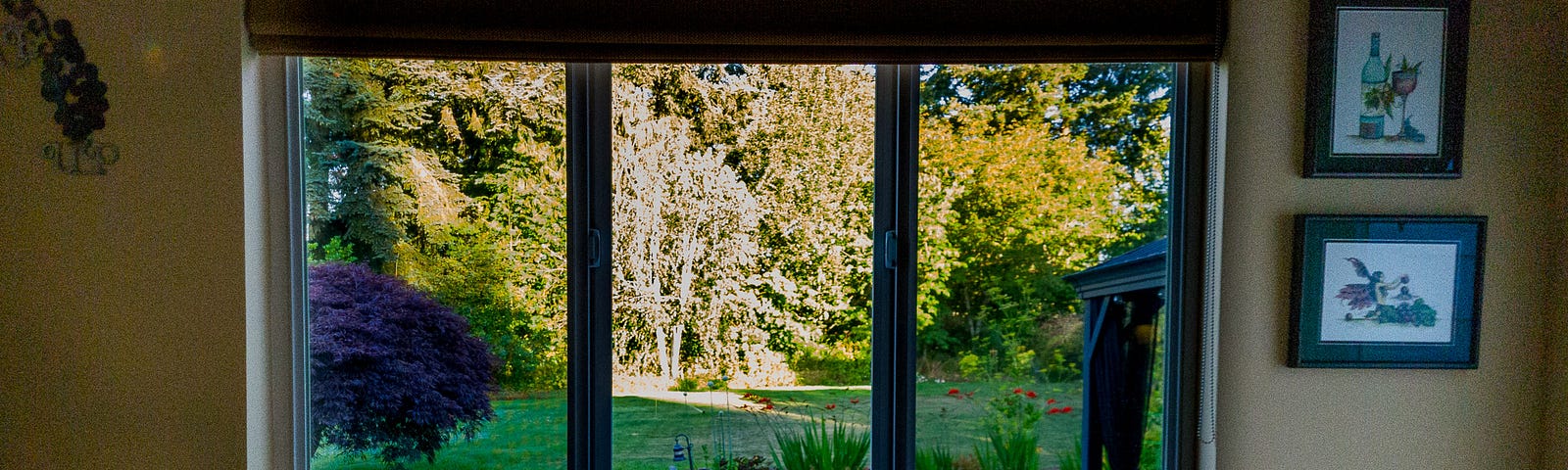A lush garden seen through a large window, with well-kept lawn, plants, and trees