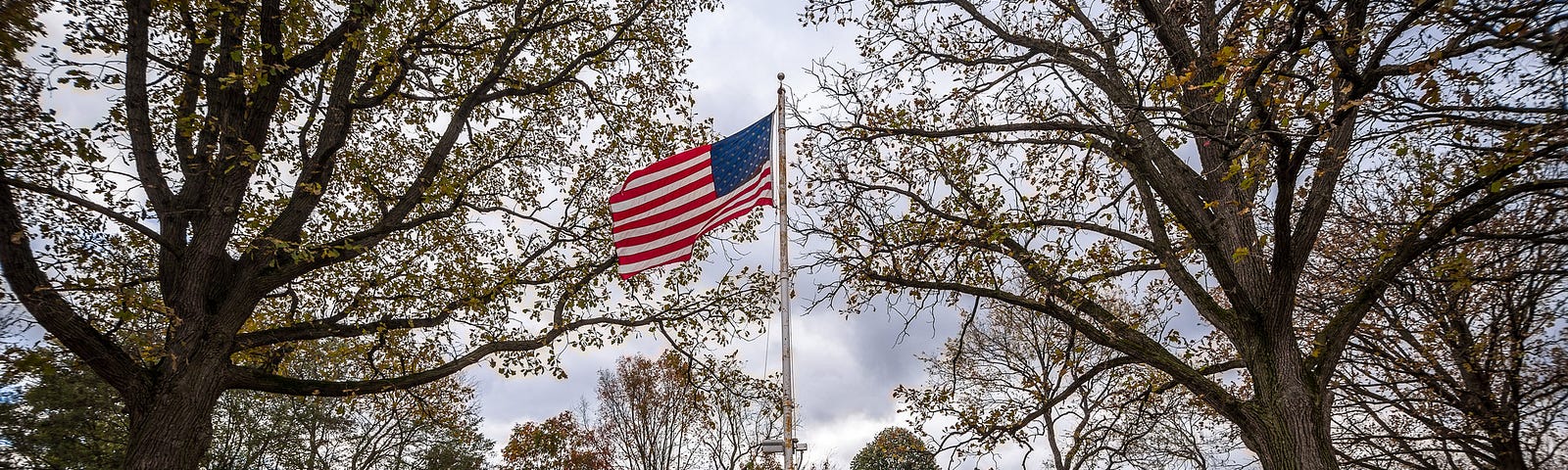 A flagpole with an American flag, flanked by trees, in a cemetery on an overcast autumn day.