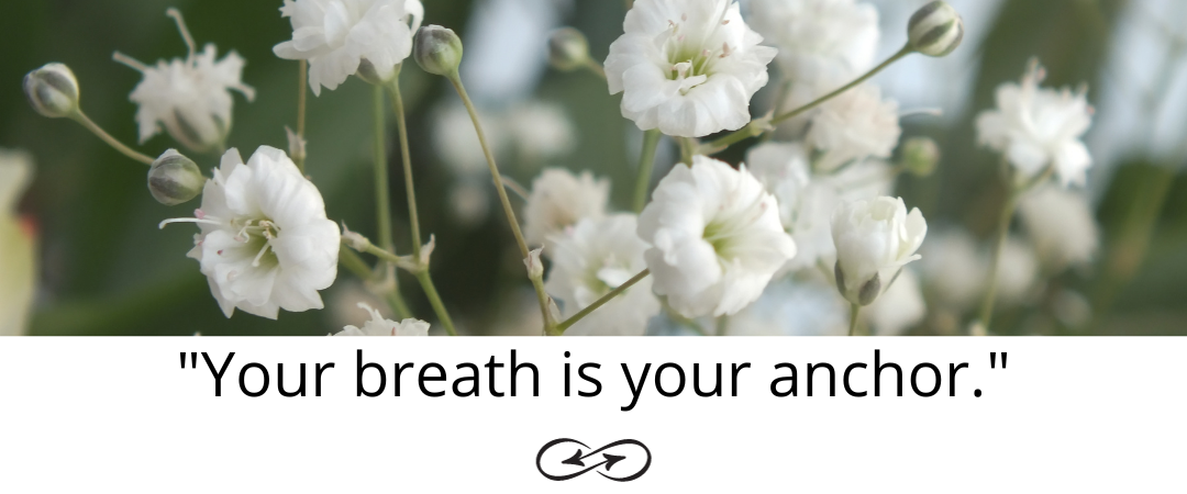 White flowers with the caption “Your breath is your anchor”
