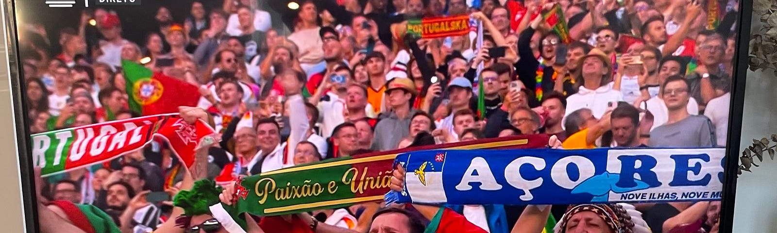 Portugal fans singing the national anthem at the stadium