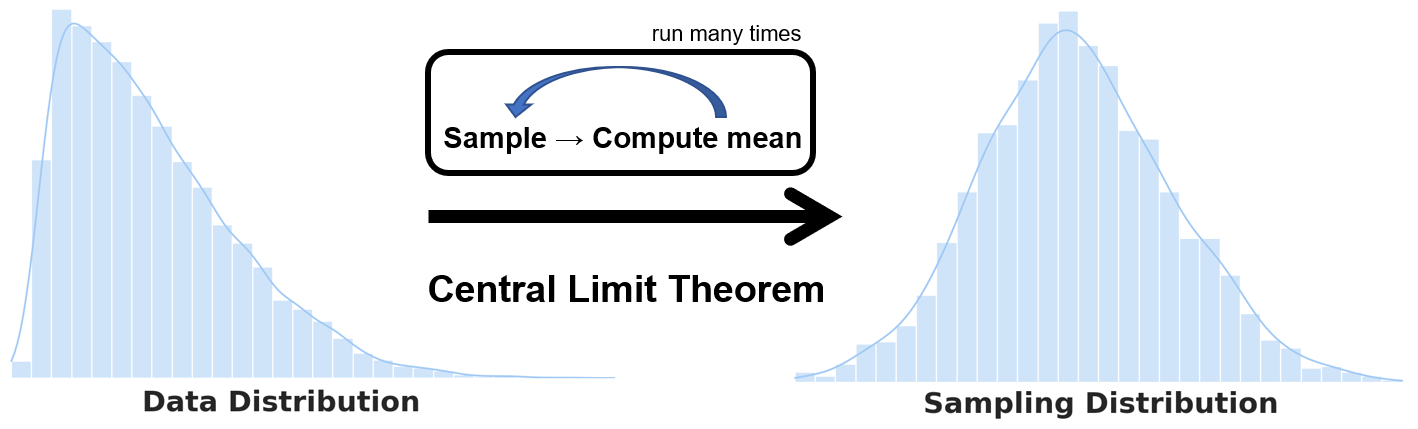 Data Distribution Vs Sampling Distribution What You Need To Know