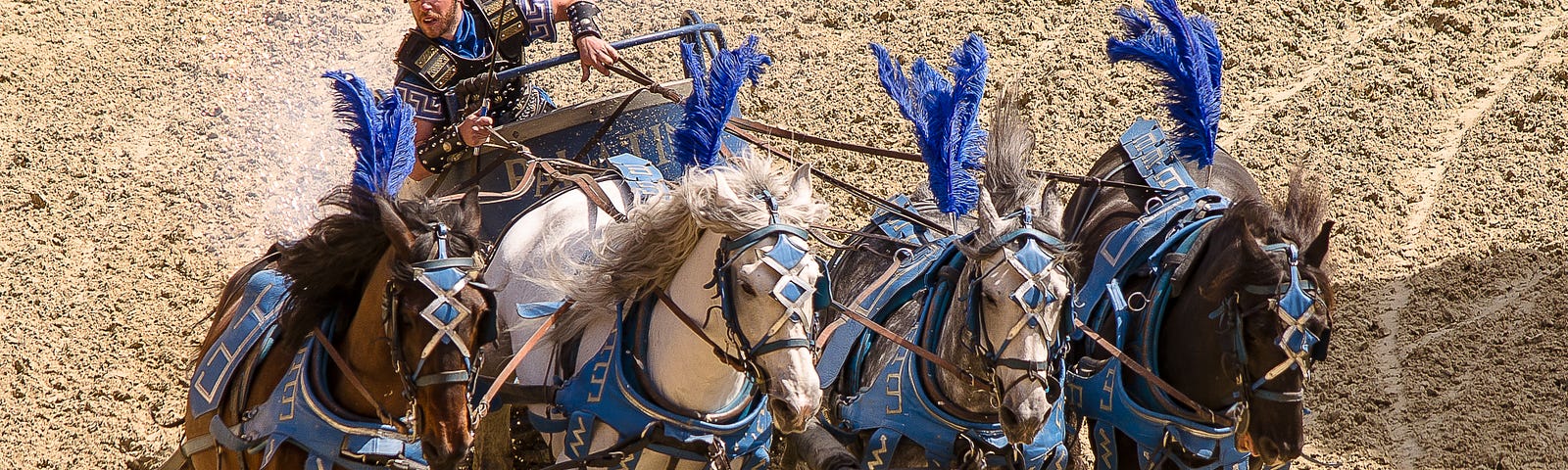 Photo of a young man in an Ancient Roman costume riding a chariot pulled by four horses. Both the horses and the driver are wearing blue feathers.