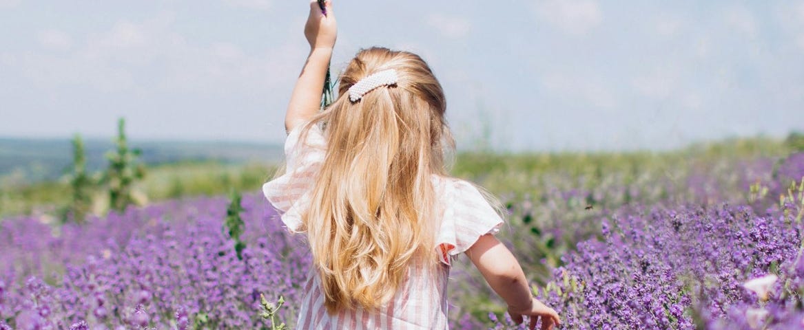 A girl is strolling in the Savannah, picking lavender flowers.