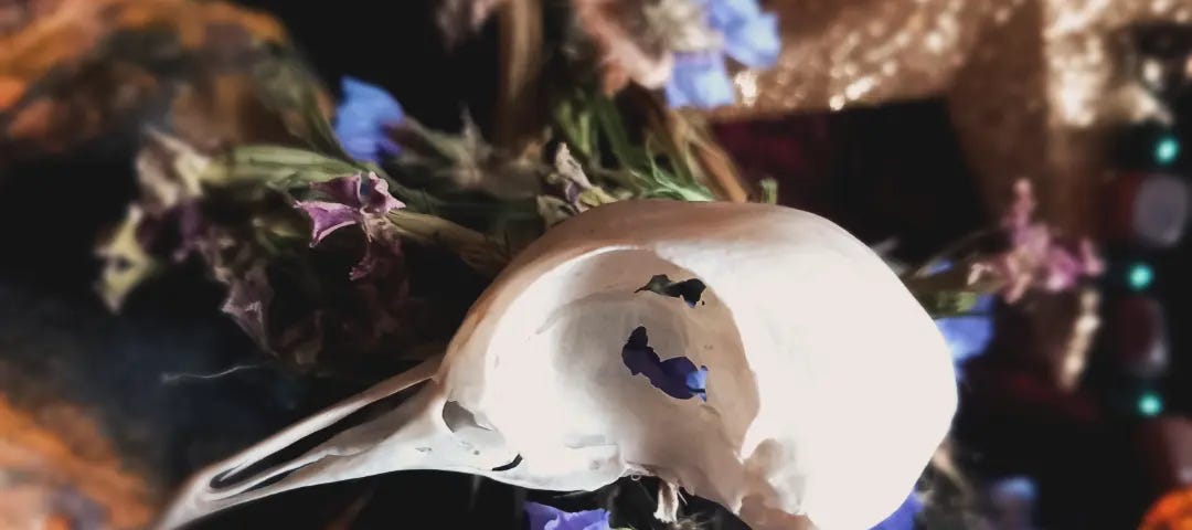 A fragile. white bird skull surrounded by gold glitter, green beads, and small blue flowers.