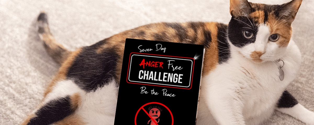 Seven Day Anger Free Challenge by Jacquelyn Lynn — book on a cat