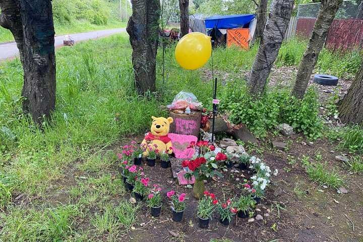 A circle of flowering plants with teddy bear and flowers in the center with the caption: Mourners of Yusely Verdecia Reyes create a makeshift memorial for the 18-year-old who was found last year hanging from the tree which was recently cut down, reportedly by perpetrators, and those involved with the cover-up, of her murder. A fear-inducing message to nearby homeless campers: Do not talk. Also, says Yusely’s mother, “To destroy evidence of her murder.”