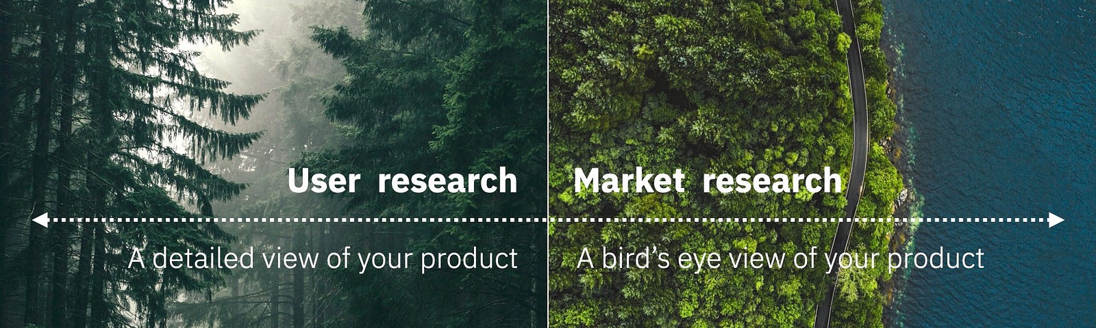 Market research provides a bird’s eye view of your product.