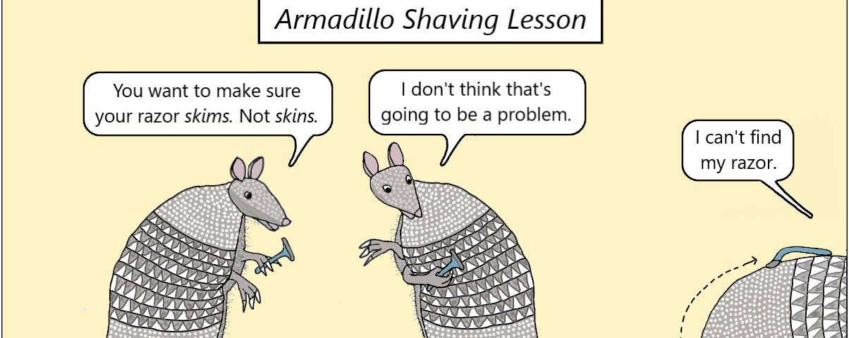 Armadillos have a shaving lesson.