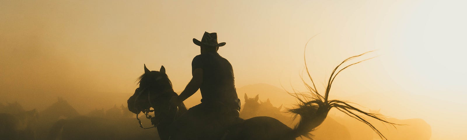 Silhouetted cowboy on a horse.