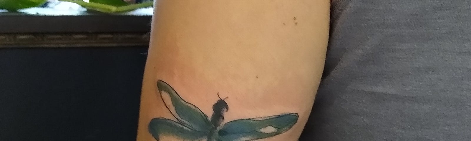 The Woman With the Dragonfly Tattoo | by Liz Gallo | Fearless She Wrote |  Medium