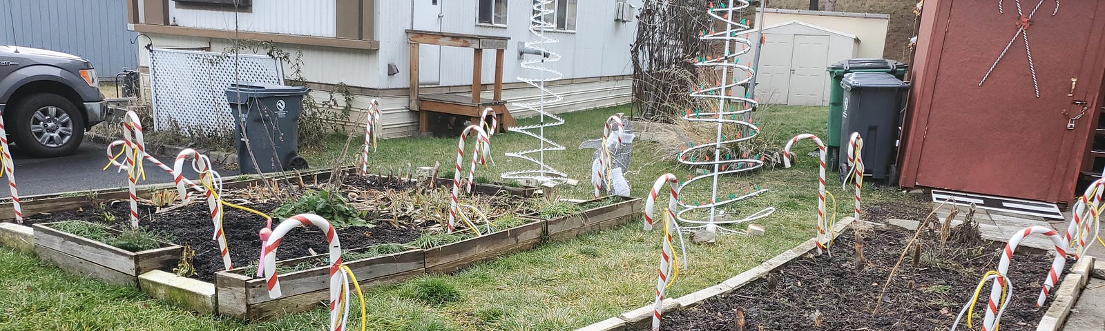 A front yard of a mobile home with green grass and two big flower beds with white bricks and wooden flower boxes filled with some plants and soil. Both flower beds have two and a half foot tall red and white candy canes standing up along the edges The candy canes have silver and gold rope cords tied around them. Behind the big square bed are two spiral tree decorations and two wicker penquins. A red brown shed with two red, green, and white candy canes on the door is on the upper right.