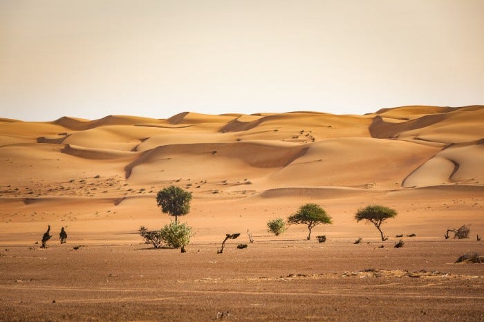 Sand dunes in the desert in Oman
